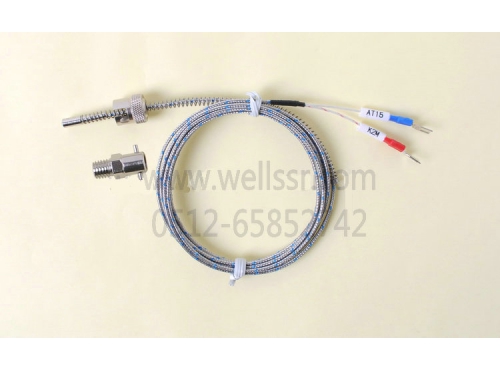 WT15 壓簧式 高精度熱電偶